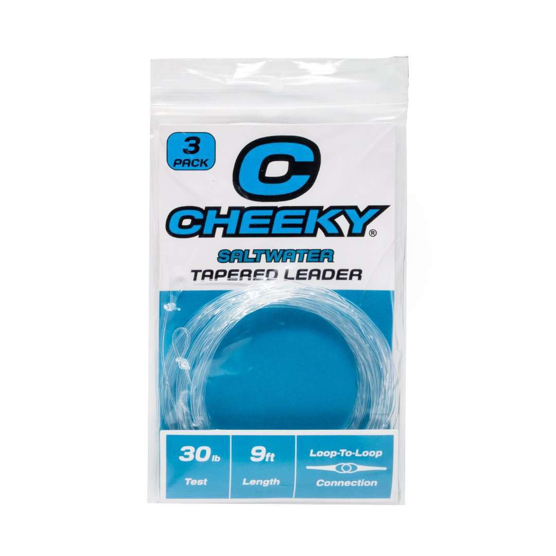 Saltwater Fly Leader Tapered 9ft Fishing Line for Bonefish, Tarpon, Snook & Redfish