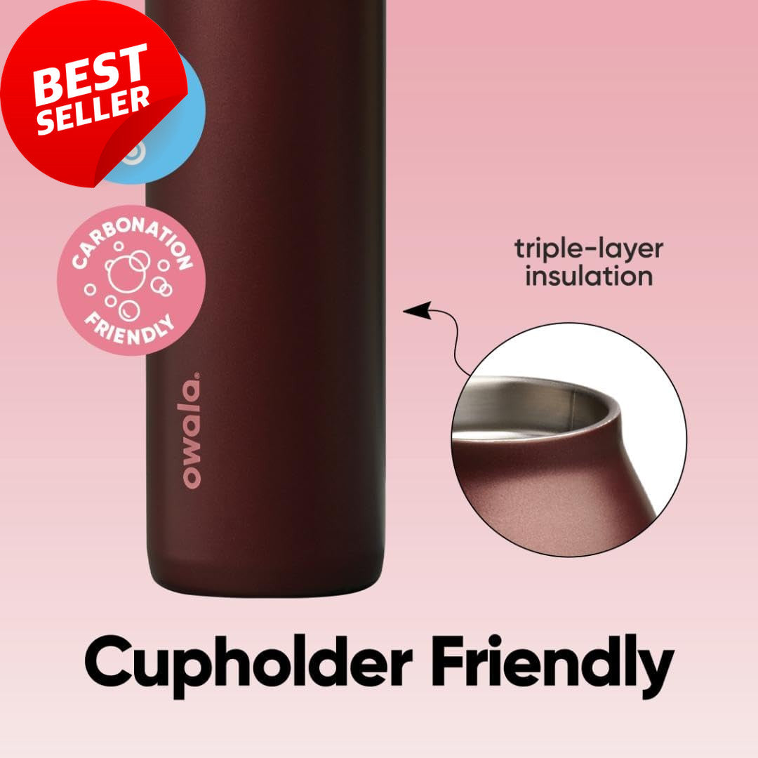 Insulated 24oz Water Bottle with Straw - BPA-Free, Leak-Proof, Black Cherry