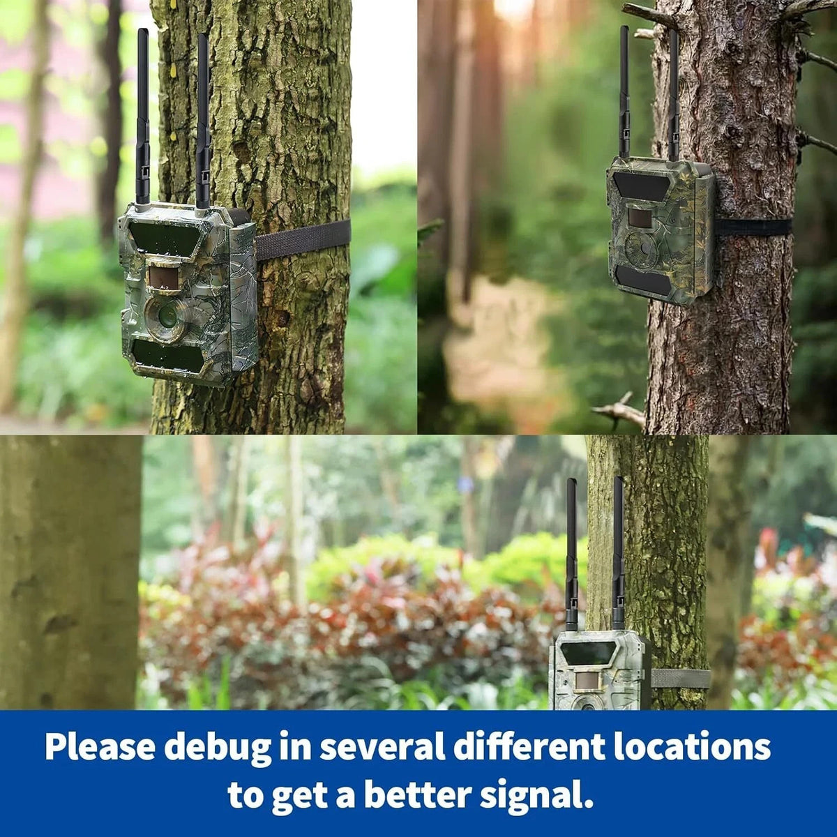 Cellular Trail Camera Antenna 8dBi RP-SMA Male for Spypoint & Tactacam