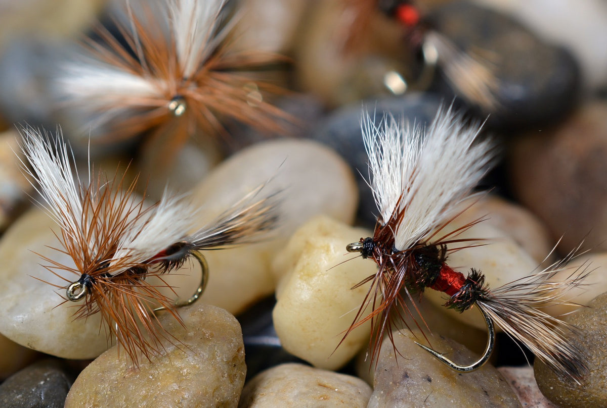 Fly Fishing Hooks - Royal Wulff Dry Fly Assortment - Mustad Signature