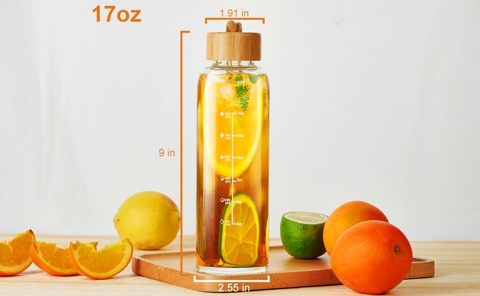 17oz Glass Water Bottle with Time Marker, Leakproof Lid & Strap