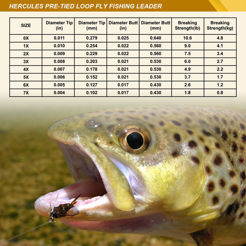 Pre-Tied Fly Fishing Leader Set with Tapered Design & Wallet - Multiple Lengths & Line Weights