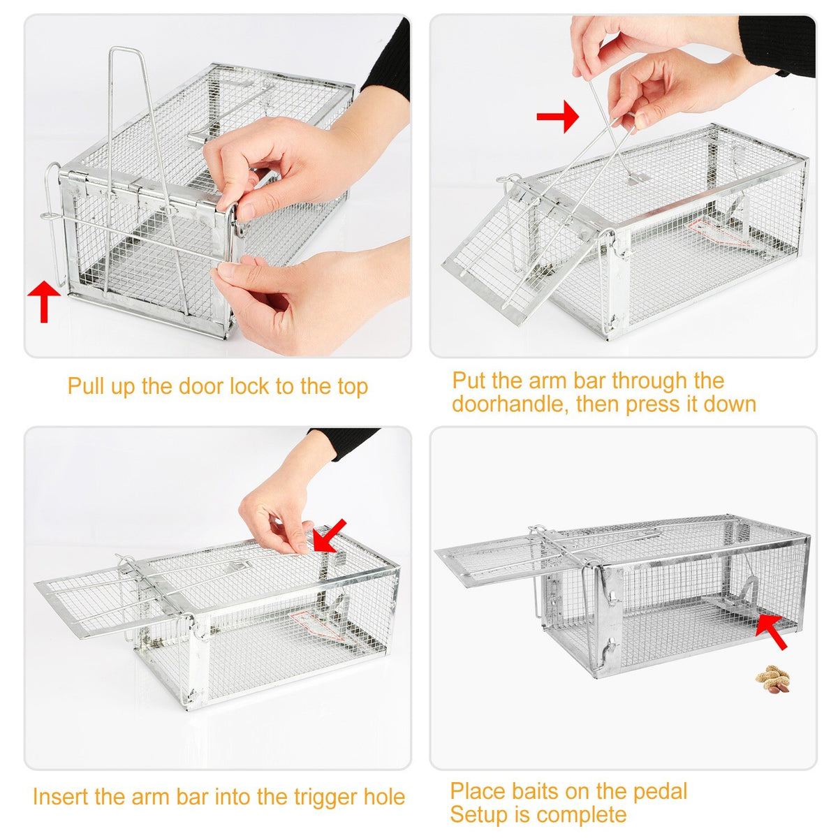 Humane Cage Trap for Squirrels Rodents Chipmunks Mice Raccoons - Humane Animal Catcher