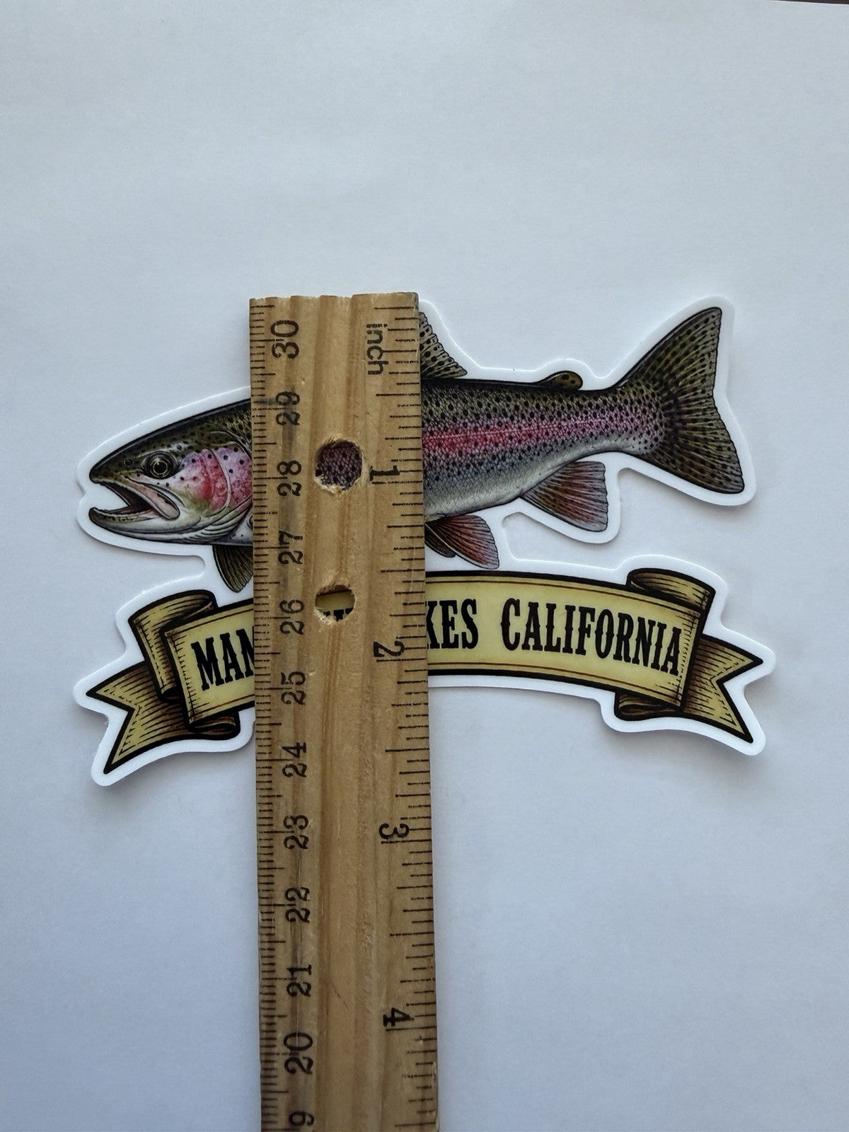 Rainbow Trout Sticker - Mammoth Lakes California Vinyl Decal for Outdoors & Travel