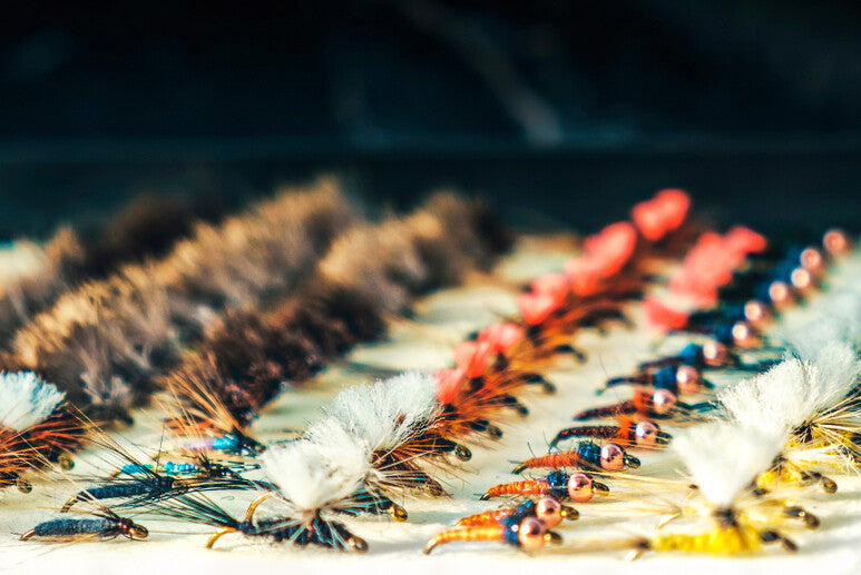 Fly Fishing Box Organizer Set of 3 - Tackle Storage for Flies and Lures