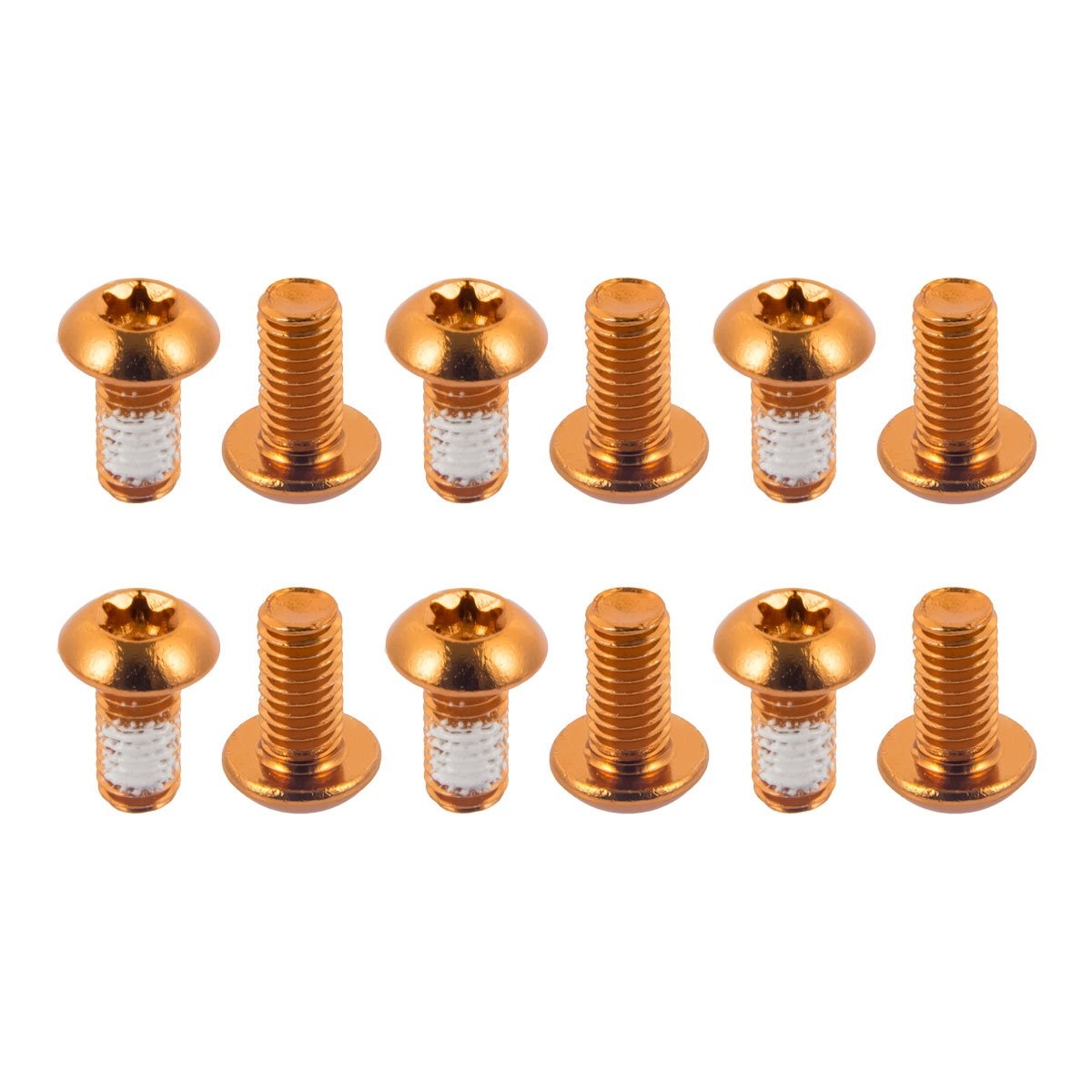 Mountain Bike Rotor Bolts T25 Titanium Steel 12 Pack for Disc Brakes