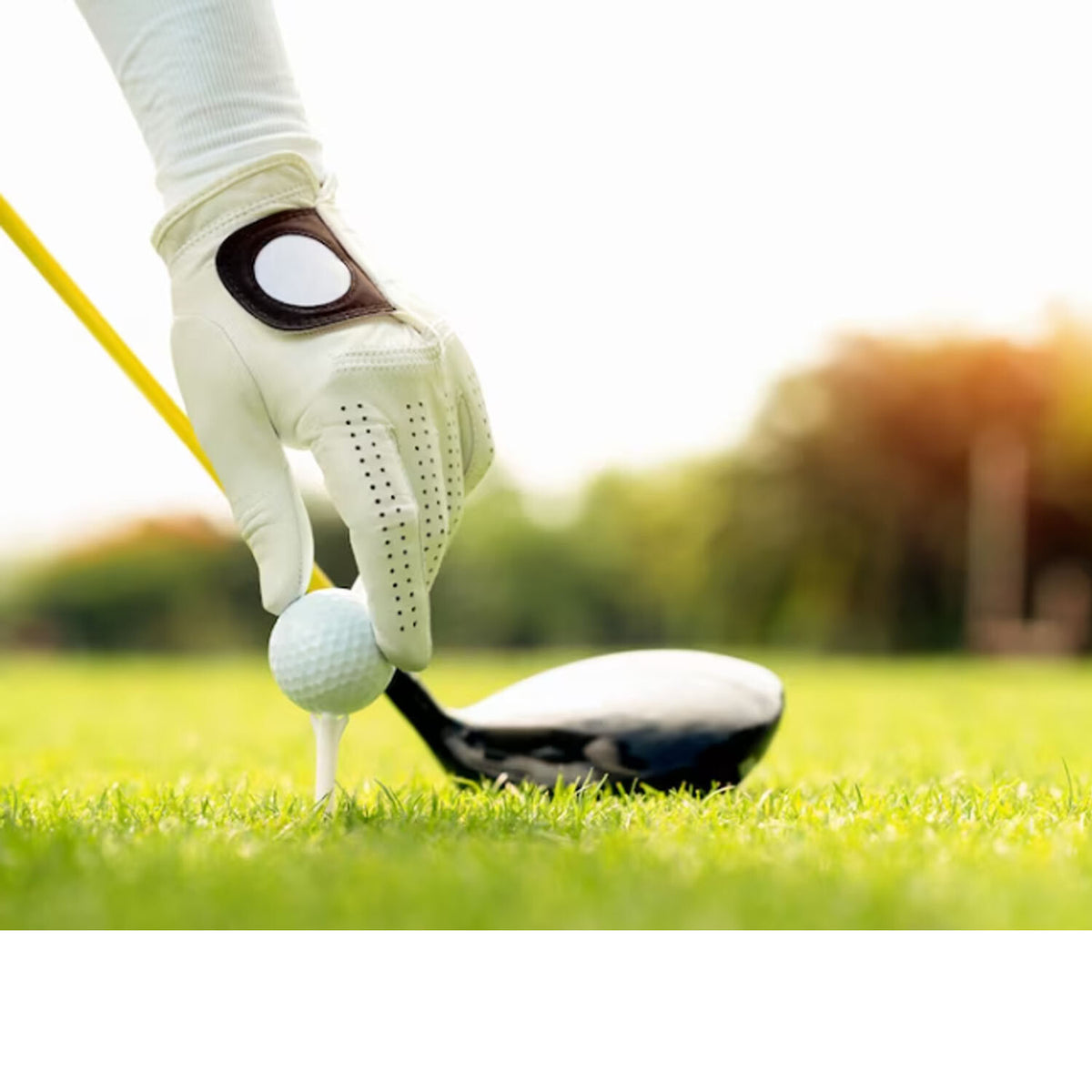 Women's Golf Gloves Soft Fit Cabretta Leather Lycra - Left Hand Golf Glove