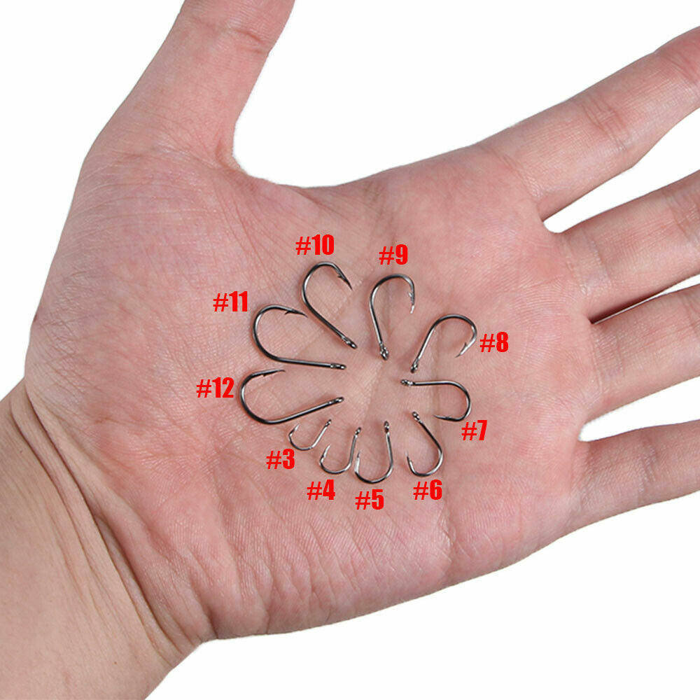 1000PCS Fishing Hooks Set - 10 Sizes Barbed Saltwater & Freshwater Tackle Kit with Storage Box