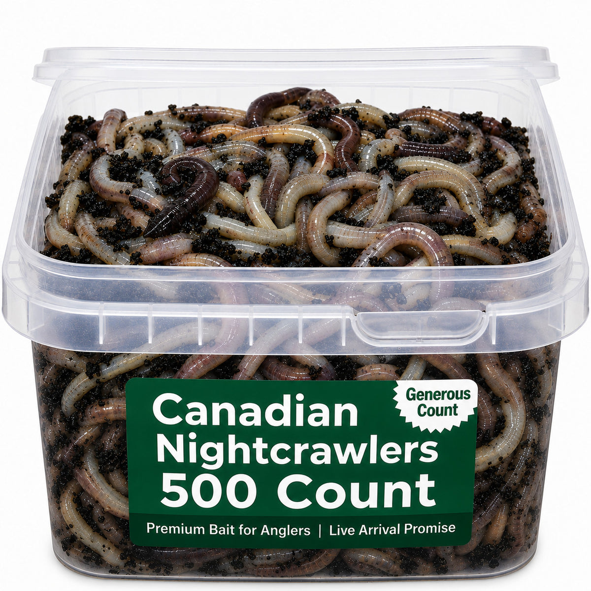 Canadian Nightcrawlers Live Bait - Multiple Sizes & Count Options for Fishing & Reptiles
