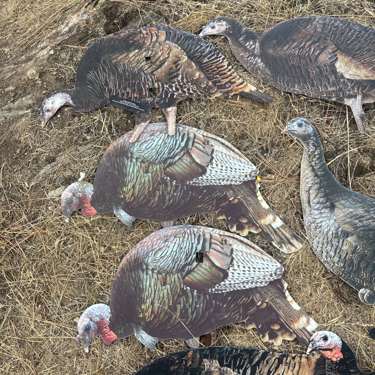 12 Pack Turkey Decoys Silhouette Wildlife Hunting Attractants Made in USA