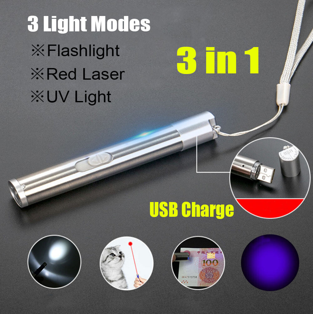 2PCS USB Rechargeable Laser Pointer Pen for Pets and Presentations