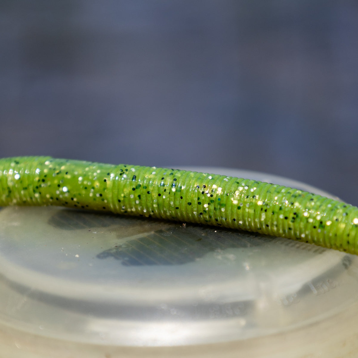 Reaction Tackle Soft Plastic Wacky Worms 24 Pack - Bass Fishing Lures