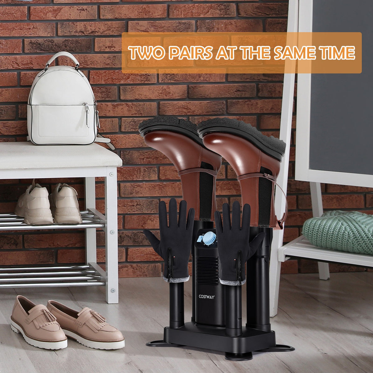 Electric Shoe Dryer with Ozone Deodorizer, 4 Shoe Capacity, Timer, Black