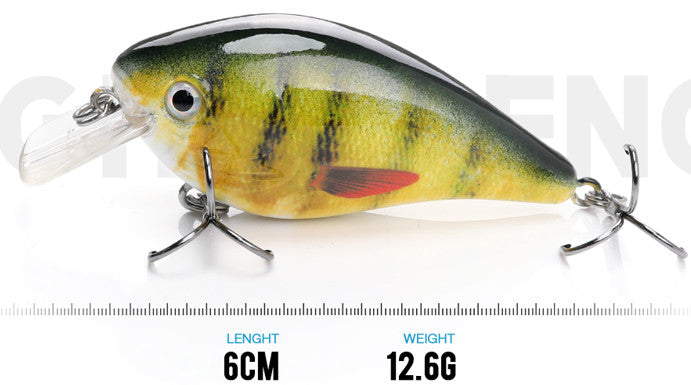Squarebill Crankbait Lure 2.4 Inch 5-Pack - High-Def Fish Attractor for Shallow Water Fishing