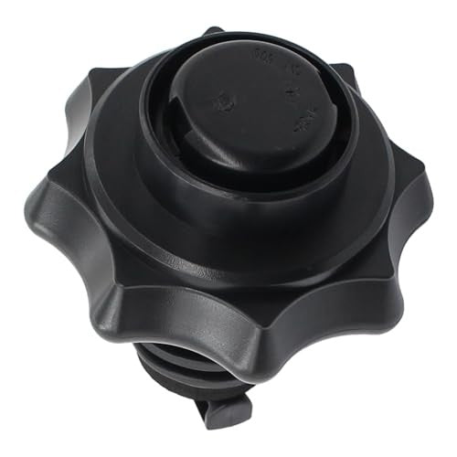 Tire Carrier Mounting Nut for VW Beetle & Audi Models