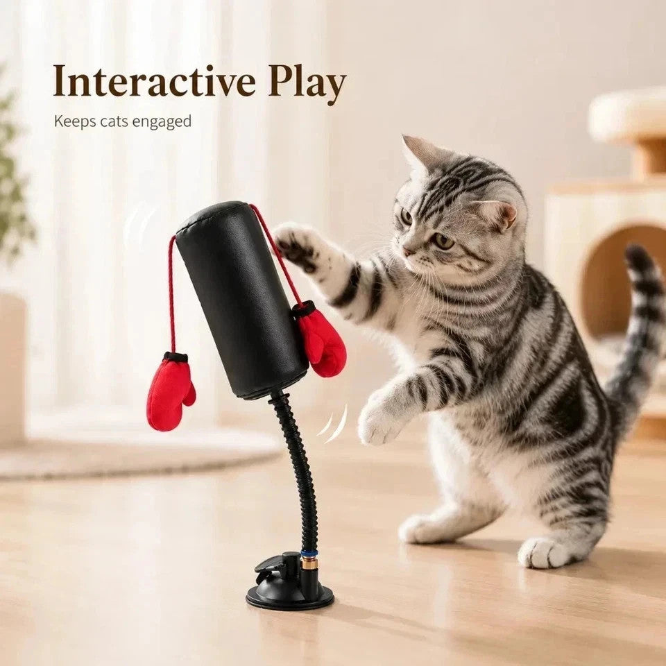 Interactive Cat Punching Bag Toy with Gloves - Durable Pet Play Equipment