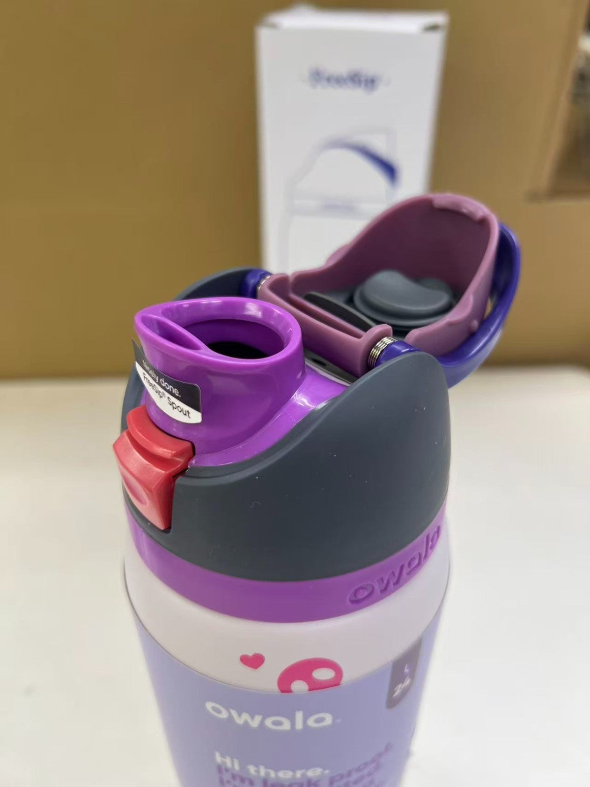 Insulated Water Bottle 32oz with Straw Kuromi Limited Edition