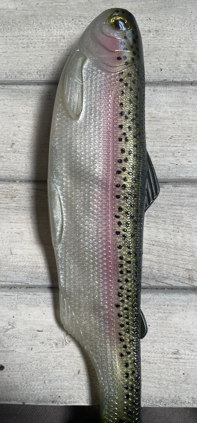 10-Inch Weedless Trout Swimbait with Subtle Tail Action - Stock Color
