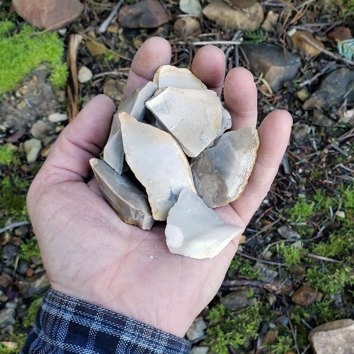Primitive Fire Making Flint Flakes - 1/2 lb Natural Chert Stones for Bushcraft