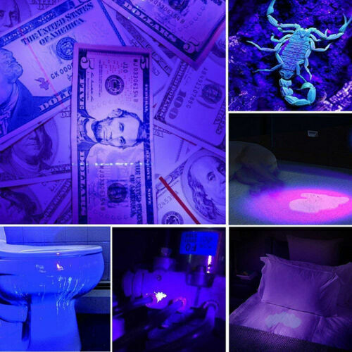 UV Ultraviolet Black Light Flashlight for Pet Stains Urine Detection 395nm 365nm