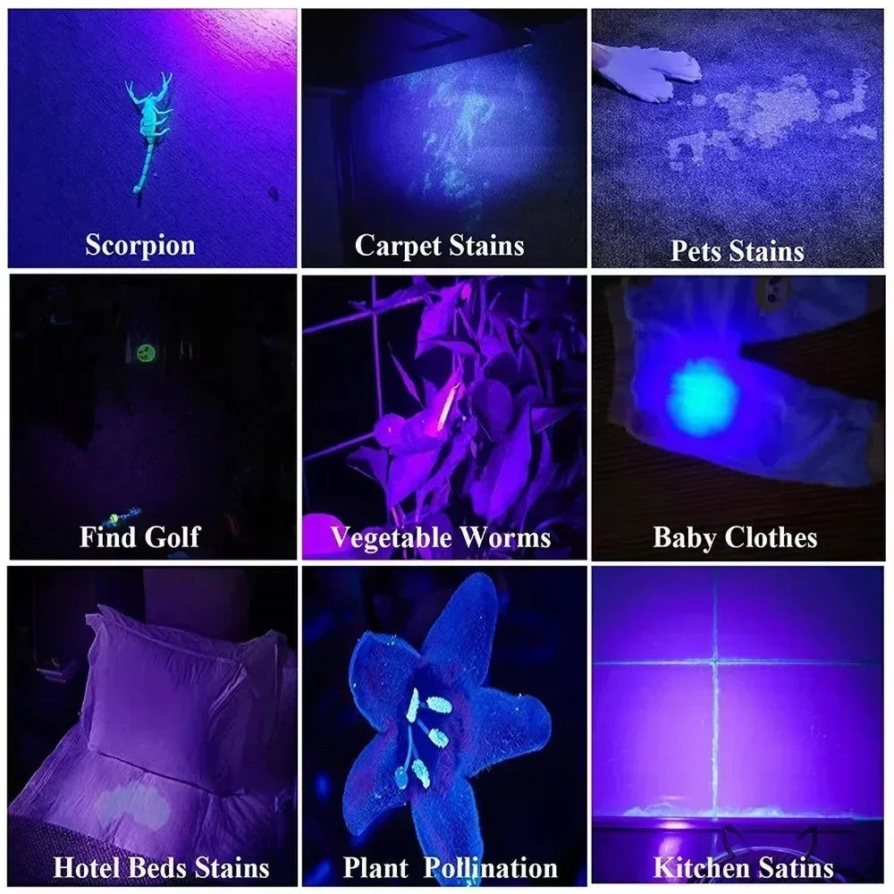 UV Pen Light 395nm Black Light Portable UV Flashlight for Inspection