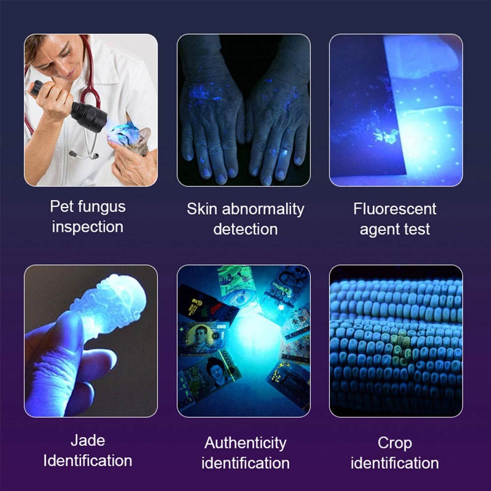 High Output UV LED Flashlight 365nm Ultraviolet Black Light Torch