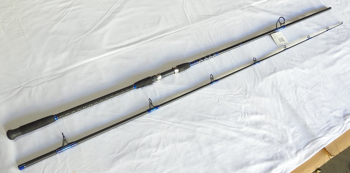 12ft Graphite Spinning Surf Fishing Rod 2-Piece Split Handle