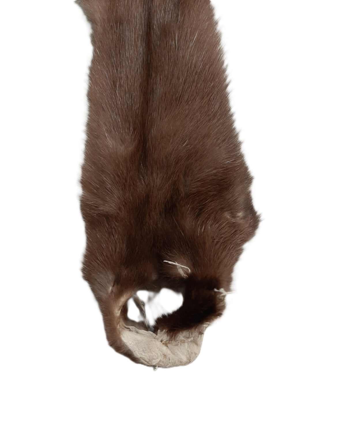 Female Wild Mink Pelt - Soft, Tanned Fur with Multiple Grade Options