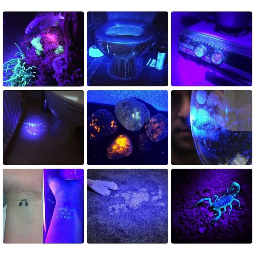 30W UV Black Light Flashlight for Pet Stain Detection - USB Rechargeable