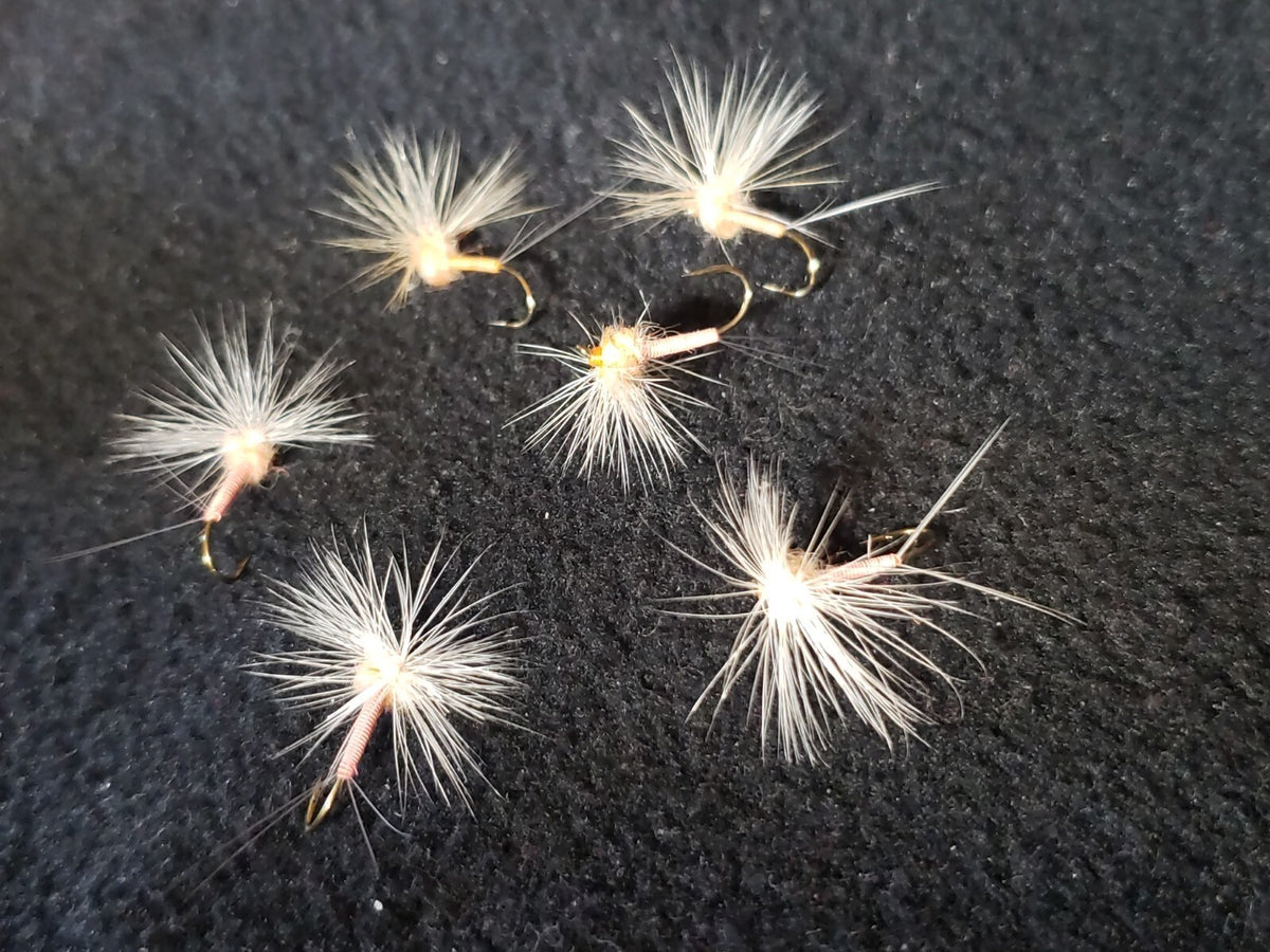 Fly Fishing Flies - Pale Morning Dun Size 22 Hackle Stackers - Frontiers
