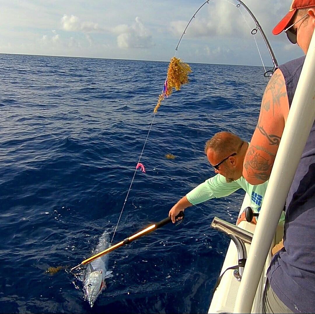 Saltwater Fishing Lure - Triple Squid Chain for Mahi Tuna & Pelagic Fish