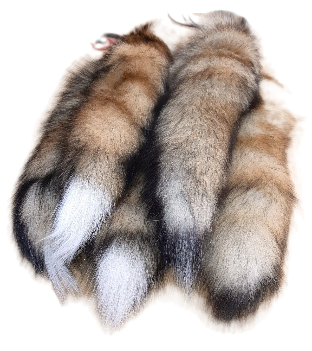 Genuine Red Fox Tail 13-17 Inches Tanned for Crafting, Costume & Decor