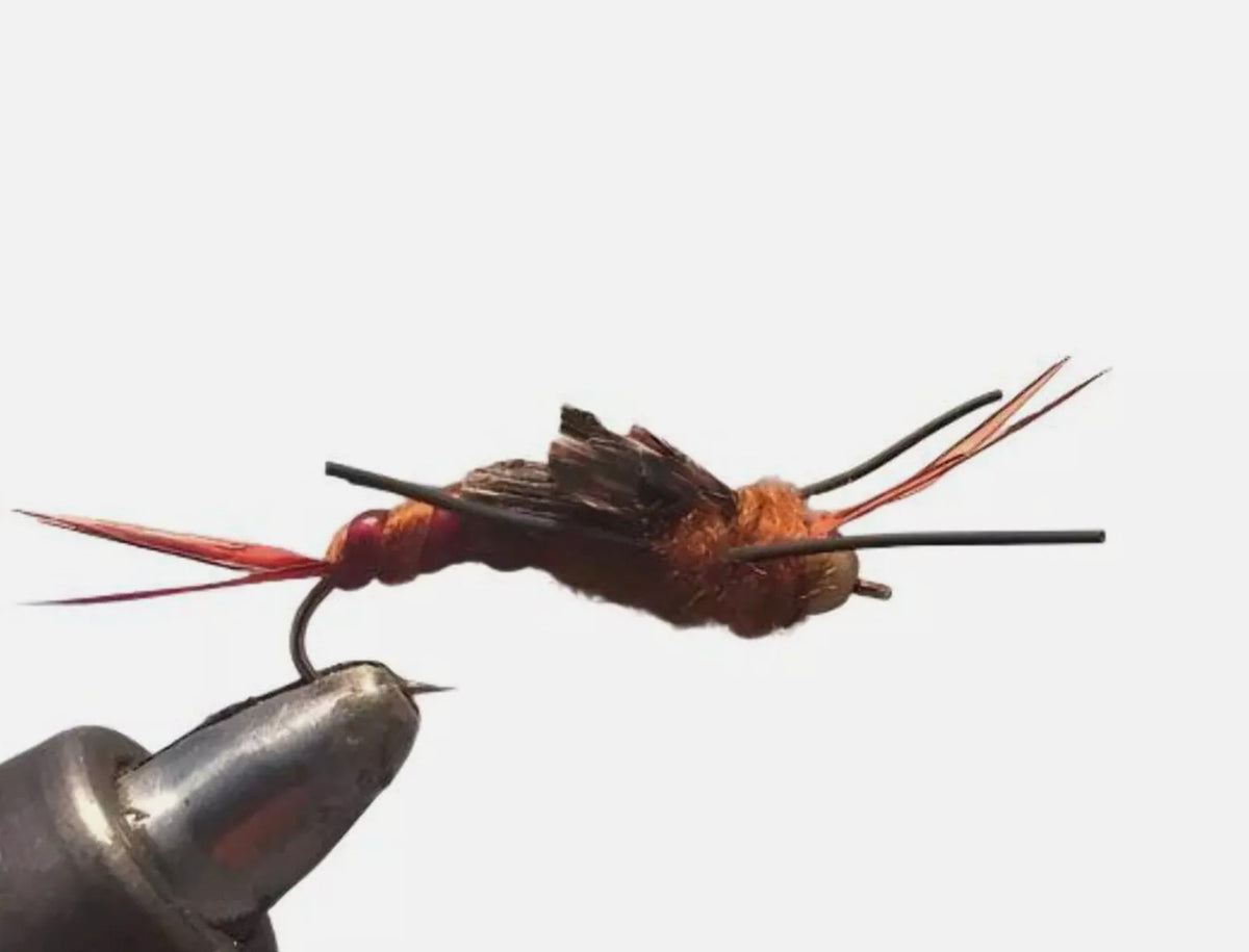Fly Fishing Nymph Assortment - 18 High-Quality Stonefly Flies for Trout