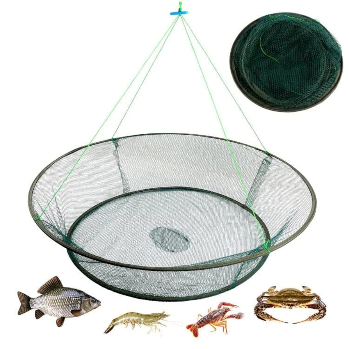 Portable Foldable Crab Net and Basket - 31.5x23.6x13.7 Inch Fishing Trap