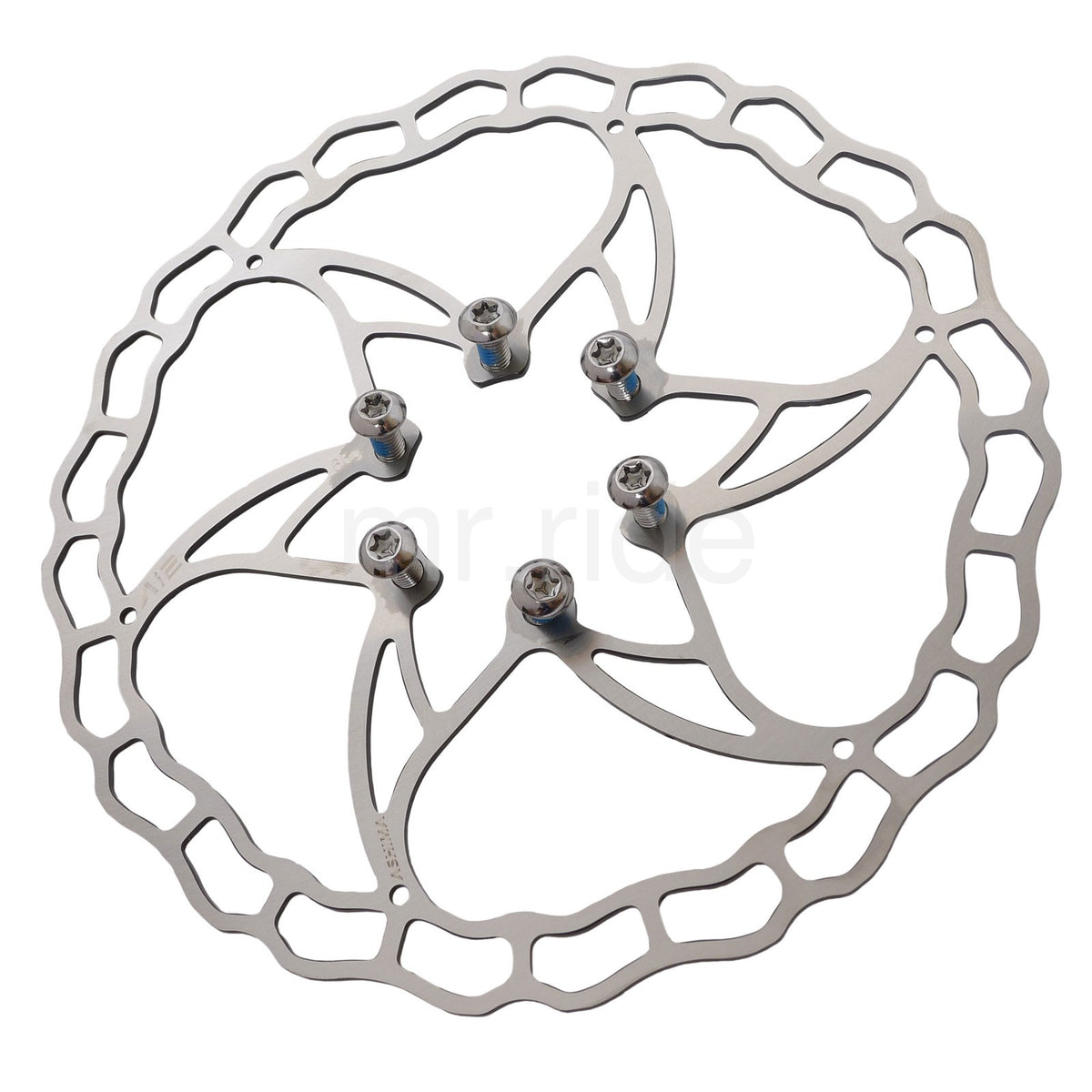 Lightweight 73g 160mm Bike Disc Brake Rotor - Stainless Steel, ASHIMA Ai2