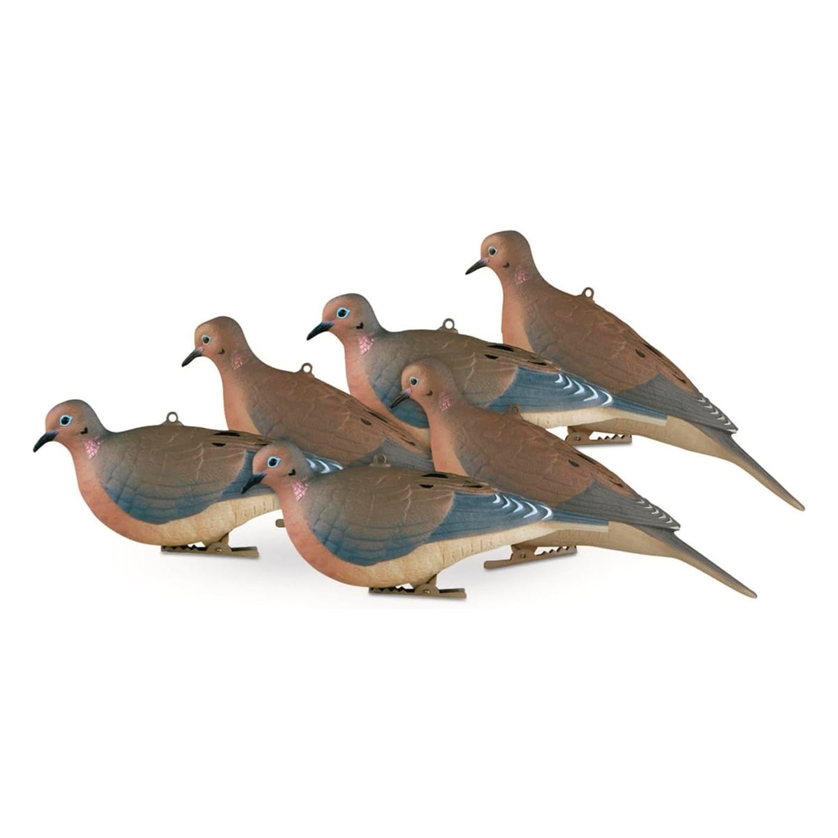 Realistic Mourning Dove Decoys Set - Full-Body Bird Hunting Props, 6 Pack