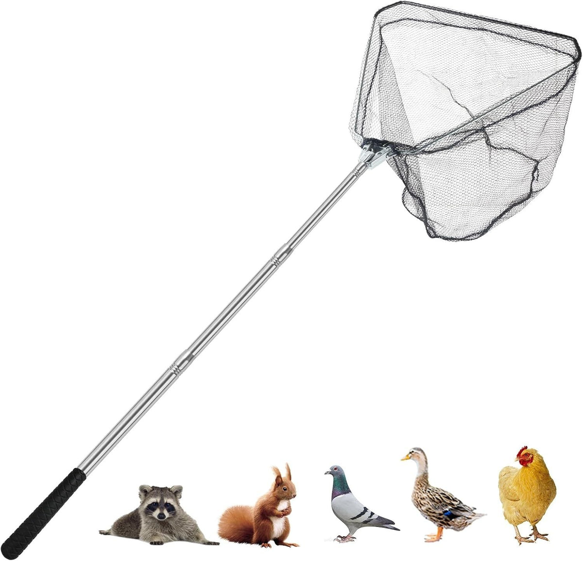 Extendable Chicken Catching Net with Long Handle for Poultry and Small Animals
