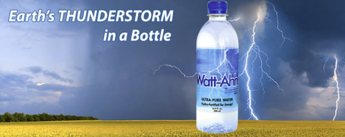 Polarized Bottled Water 16.9 fl oz Case of 24 Electrolyte Hydration