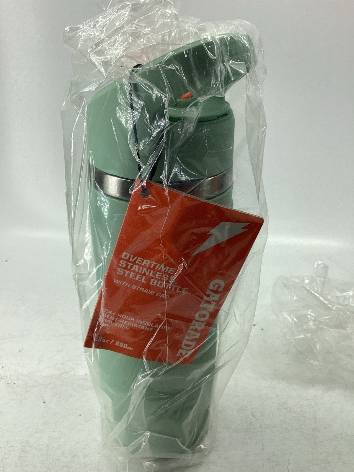 22oz Stainless Steel Sports Water Bottle with Straw Cap - Sage