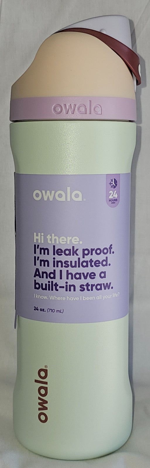Insulated Stainless Steel Water Bottle 24oz Coastal Mist Leak-Proof BPA Free