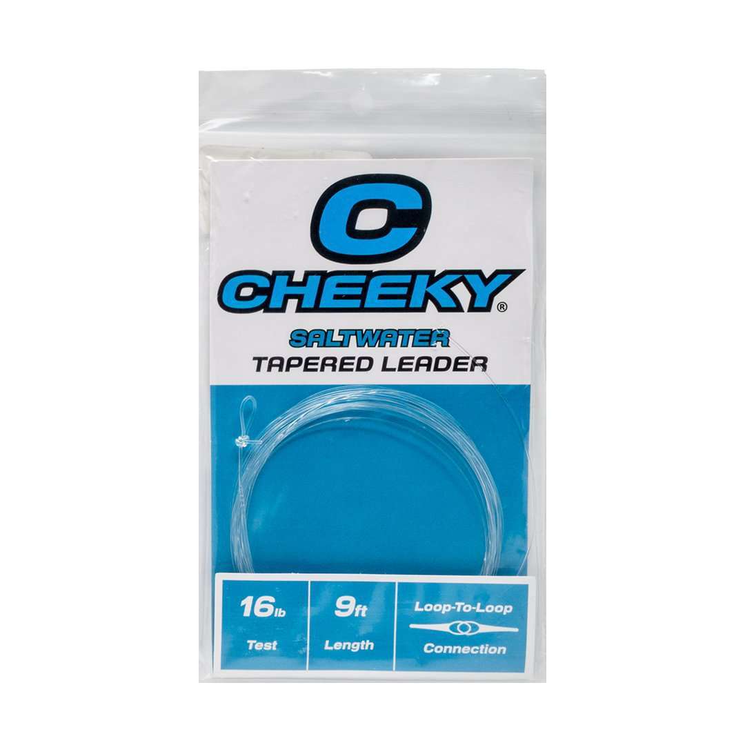 Saltwater Fly Leader Tapered 9ft Fishing Line for Bonefish, Tarpon, Snook & Redfish