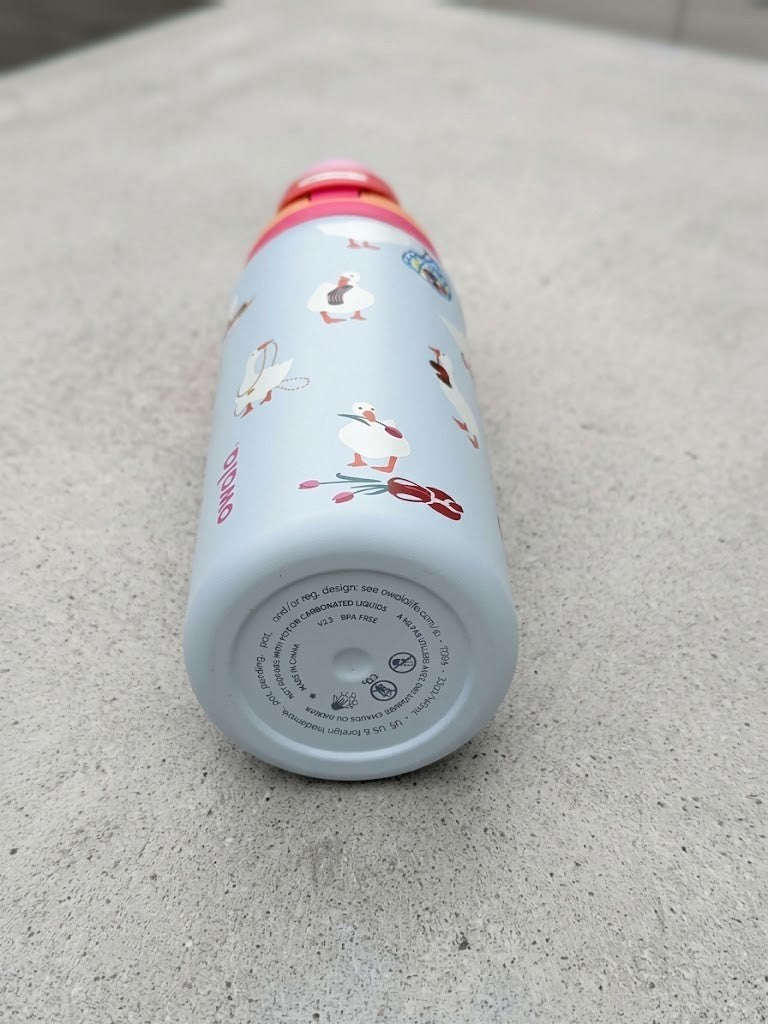 Insulated Stainless Steel Water Bottle 32oz with Leak-Proof Lid - Blue Goose Design