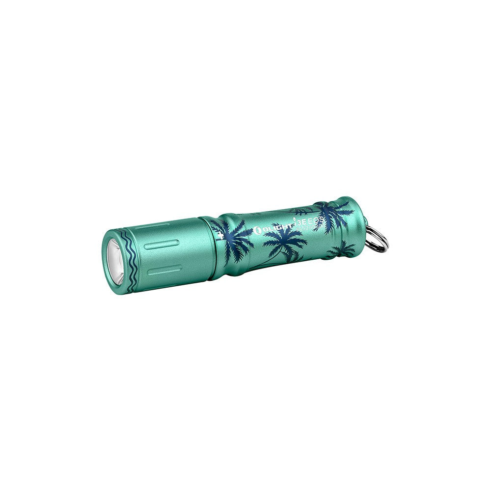 Waterproof Keychain Flashlight 90 Lumens Compact Pocket LED Torch