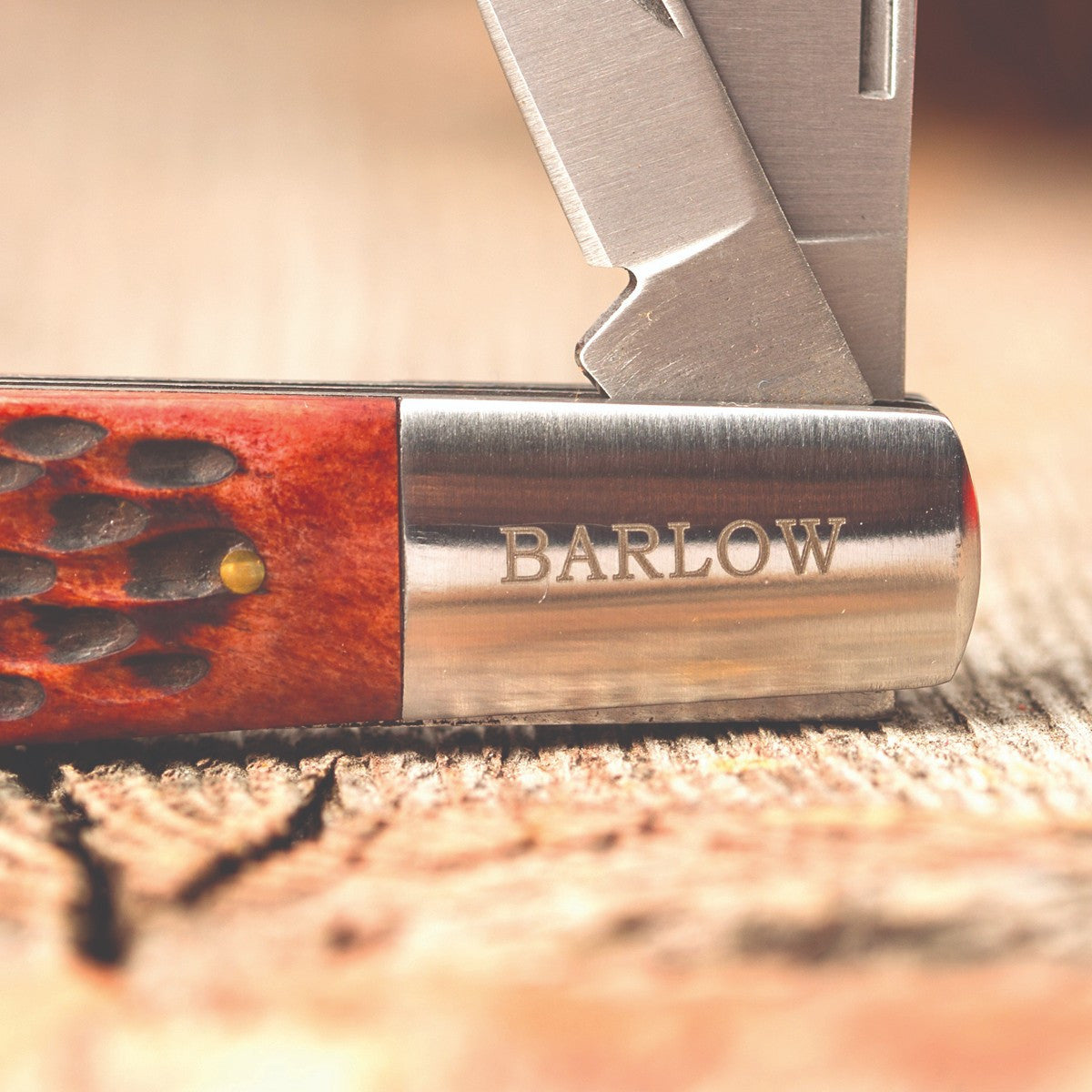 Multi-Use Pocket Knife with Bone Handle 3 1/4 Inches - Classic Sturdy Design