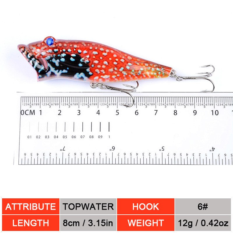 Fishing Lures Set 5 Pcs Topwater Crankbaits with 3D Eyes for Bass Trout