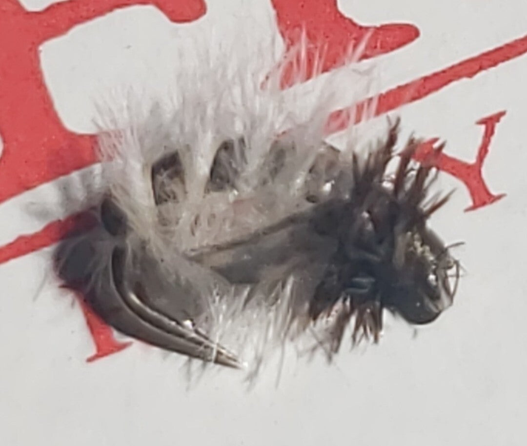 Fly Fishing Flies - Tan Size 20 Caddis Pupa Artificial Lures 6 Pack
