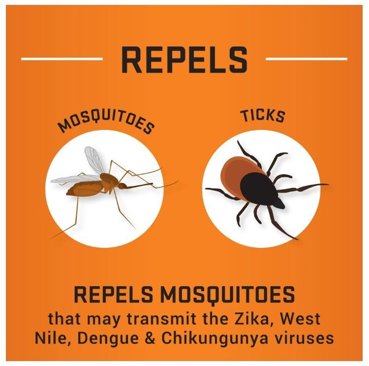 Insect Repellent Aerosol Max Formula 40% DEET - Twin Pack