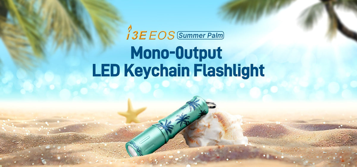 Waterproof Keychain Flashlight 90 Lumens Compact Pocket LED Torch