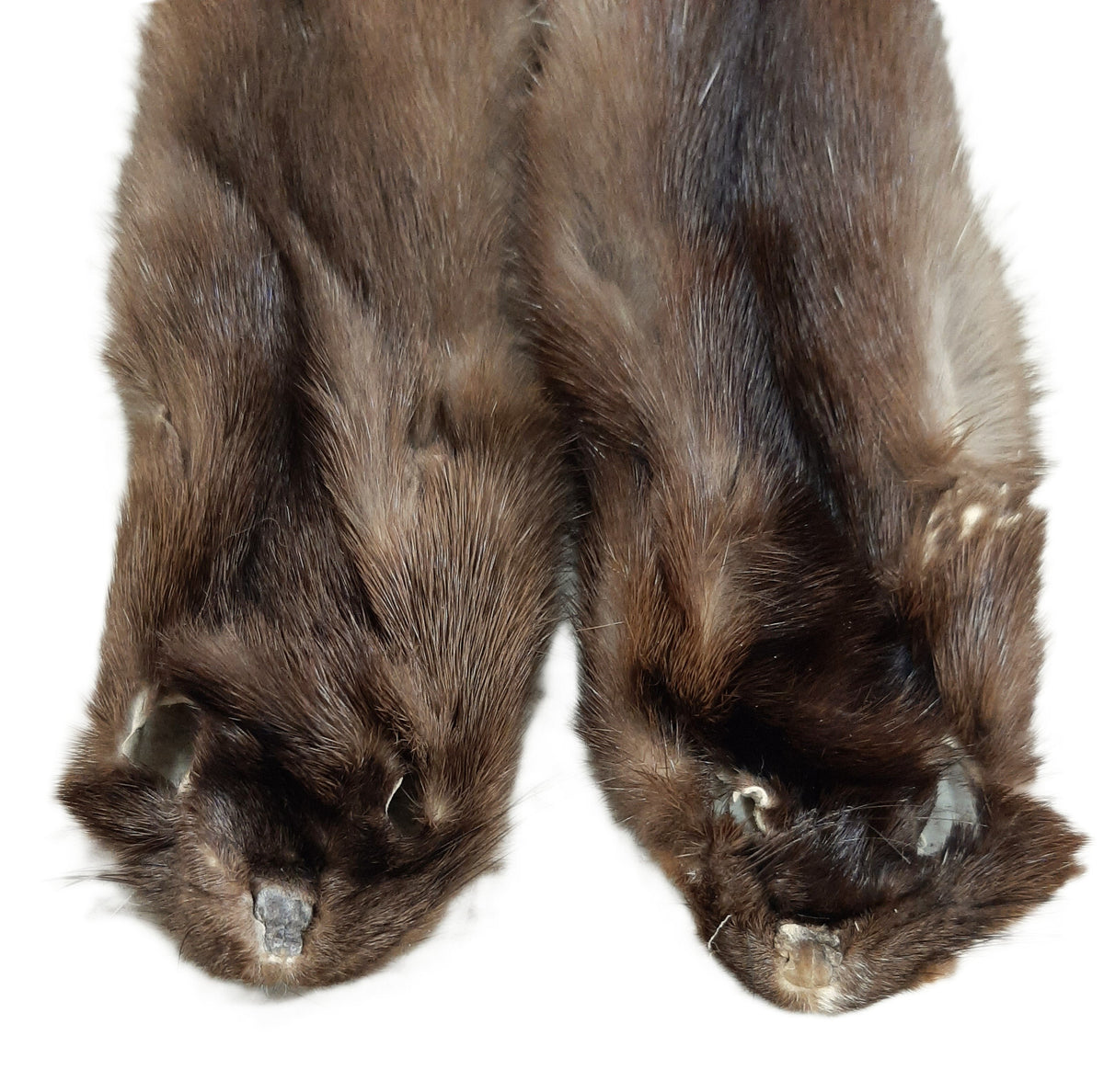 Female Wild Mink Pelt - Soft, Tanned Fur with Multiple Grade Options