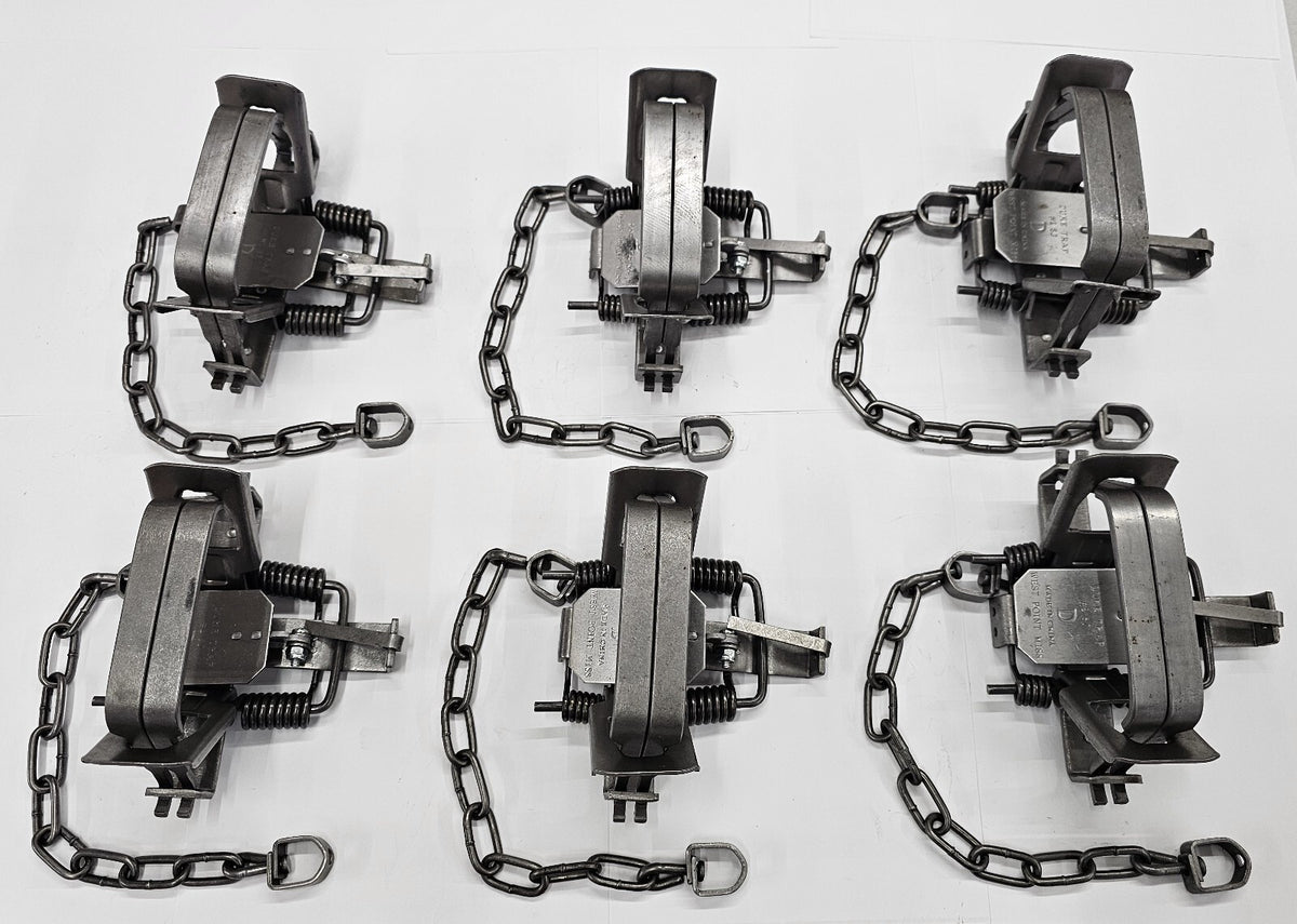 (PK6) Duke #2 Square Jaw Coil Spring Trap for Coyote, Bobcat, Fox Trapping
